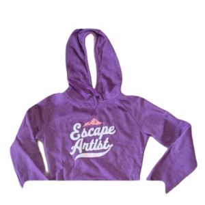 NORTH FACE SIZE SMALL L SLEEVED WOMEN'S HOODIE ESCAPE ARTIST LOGO PURPLE